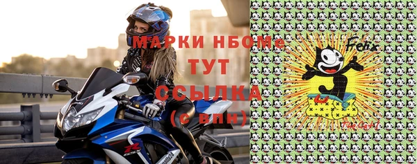 хмурый Карпинск