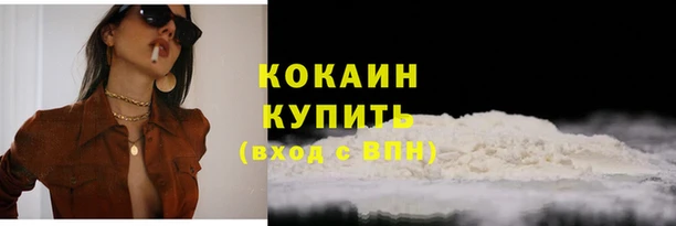 хмурый Карпинск