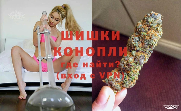 хмурый Карпинск