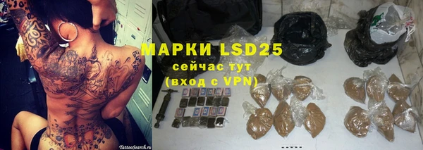 хмурый Карпинск